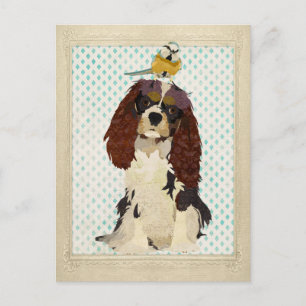 King Cavalier & Little Bird Postcard