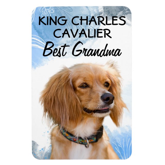 King Charles Cavalier Best Grandma  Magnet (Vertical)