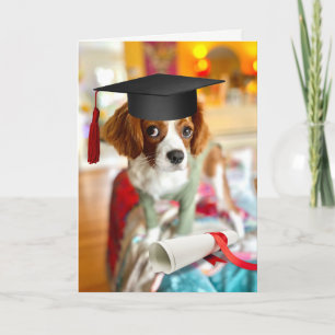 King Charles Cavalier Puppy Blank Greeting Card