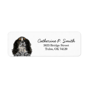 King Charles Cavalier Spaniel Adresse de retour
