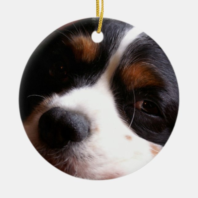 King Charles Cavalier Spaniel Ornament (Front)