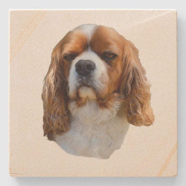 King Charles Cavalier Spaniel, Stone Coaster (Front)