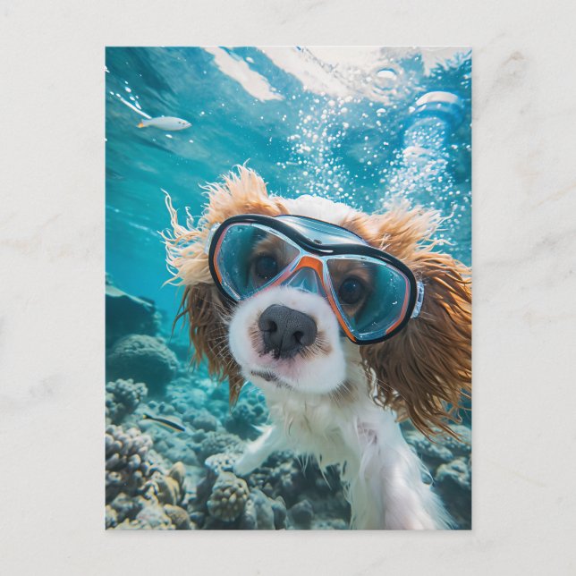 King Charles Cocker Spaniel driving in ocean Holiday Postcard (Front)