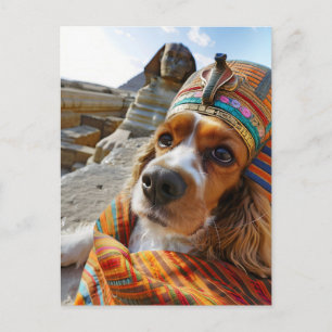 King Charles Cocker Spaniel in Egypt Holiday Postcard