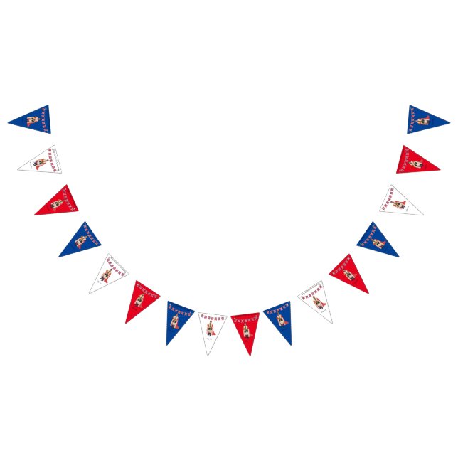 King Charles III Coronation  Bunting Flags (All)