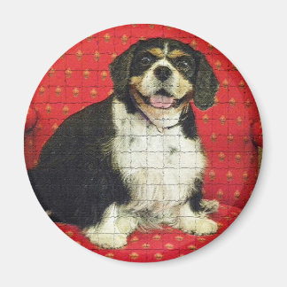 KING CHARLES SPANIAL MAGNET