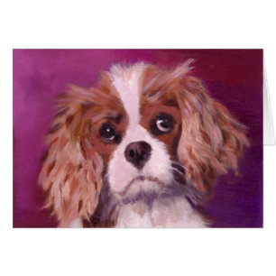 King Charles Spaniel