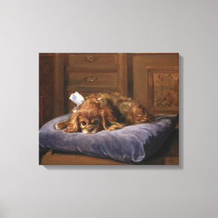 King Charles Spaniel Canvas Print
