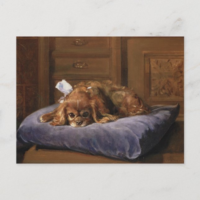 King Charles Spaniel Postcard (Front)