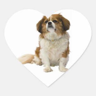 King Charles Spaniel Puppy Dog Sticker / Label