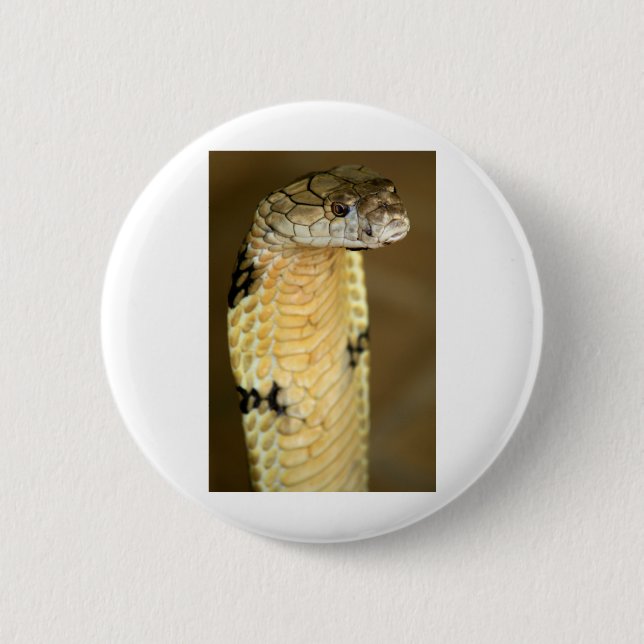 king cobra 2 inch round button (Front)