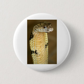 king cobra 2 inch round button