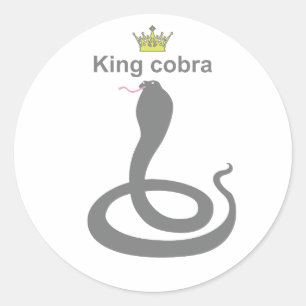 King cobra g5 classic round sticker