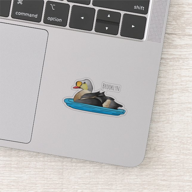 King eider bird cartoon illustration  (Detail)