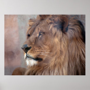 King Lion Poster