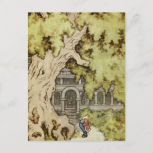 King Looks up into Giant Tree Postcard