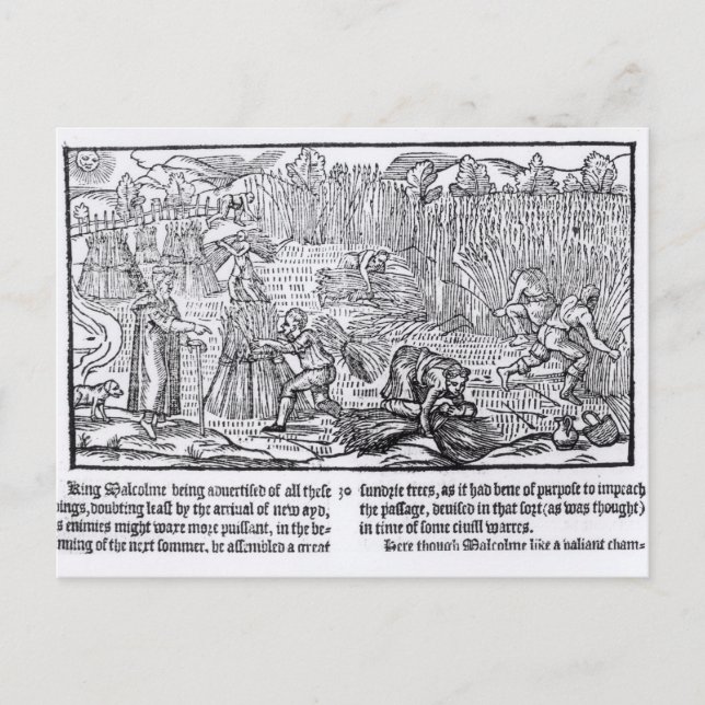 King Malcolm of Scotland Postcard (Front)