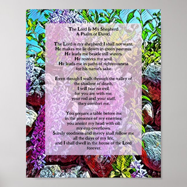 king of David Psalm 23 biblical quote Poster (Front)