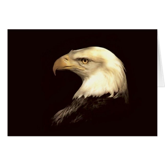 king of flyer (Front Horizontal)