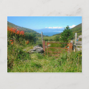 King Of Kerry Overlooking Dingle Day Postcard