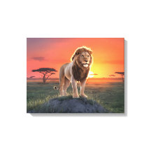 King of the Golden Light