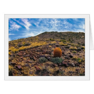 " King Of The Hill "