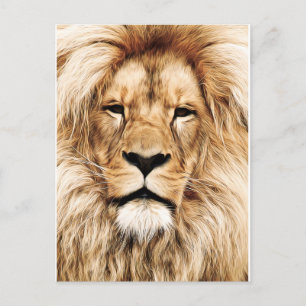 King of the Jungle Lion Post Card