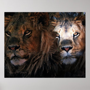 King of the Jungle Poster