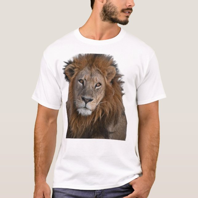 KING OF THE WILD | Bold Lion Graphic T-Shirt (Front)
