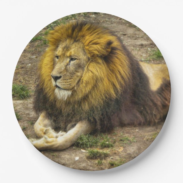 King of the Zoo Paper Plate (Front)