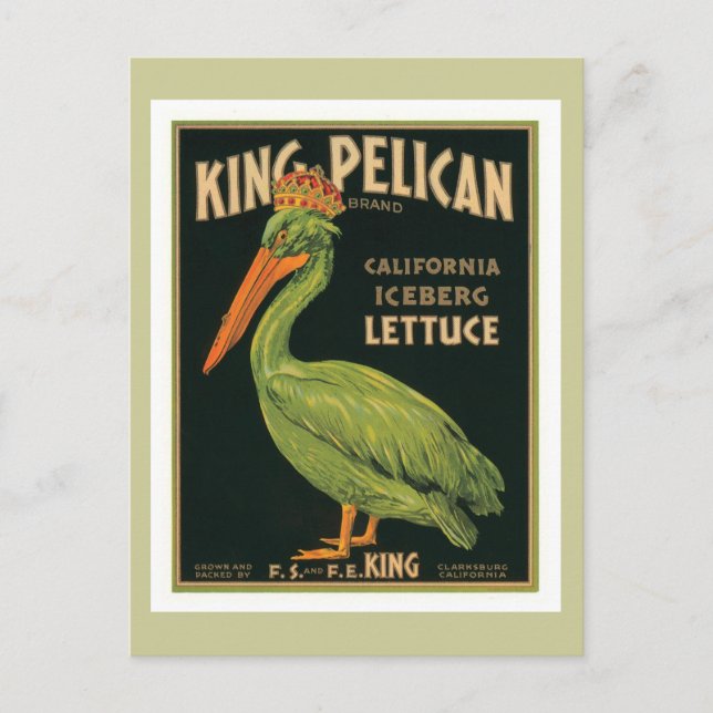 King Pelican Vintage Label Postcard (Front)