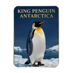 🐧 King Penguin Antarctica Wildlife Magnet