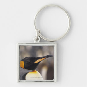 King penguin (Aptenodytes patagonicus) Keychain