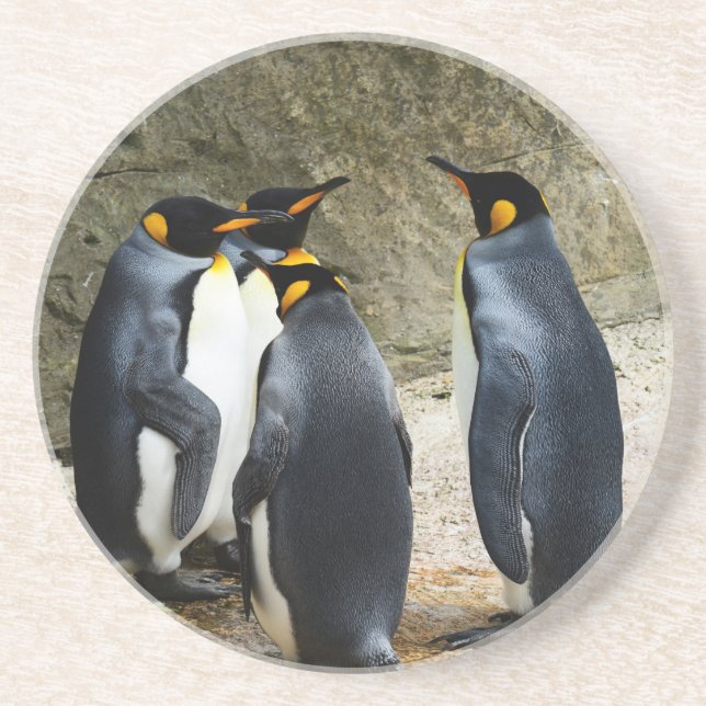 King Penguin Coaster (Front)