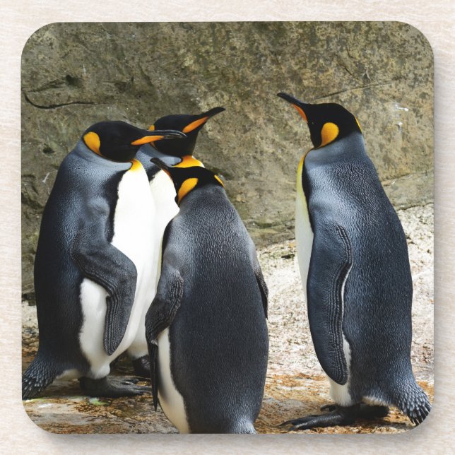 King Penguin Coaster (Front)