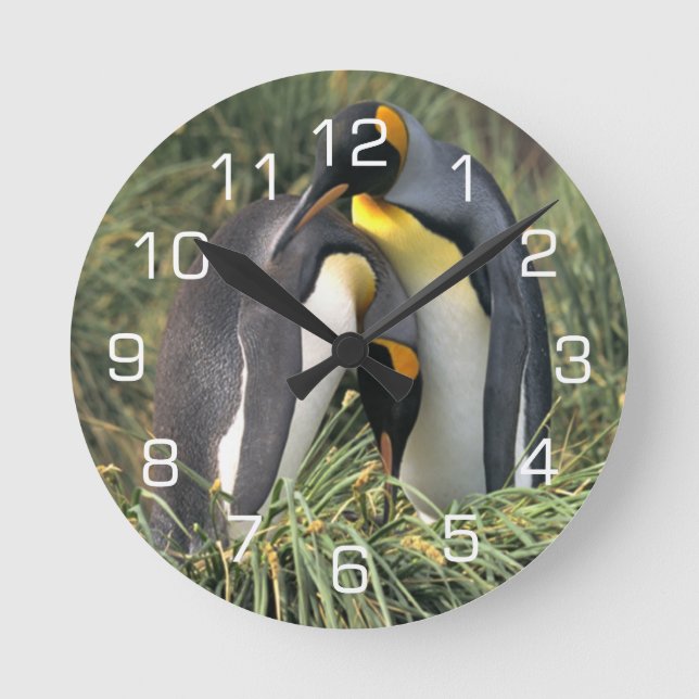 King Penguin Lovers Round Clock (Front)