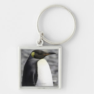 King Penguin, Salisbury Plain, South Georgia Keychain