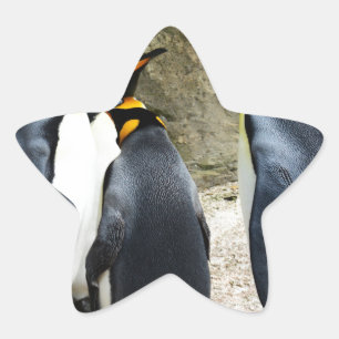 King Penguin Star Sticker
