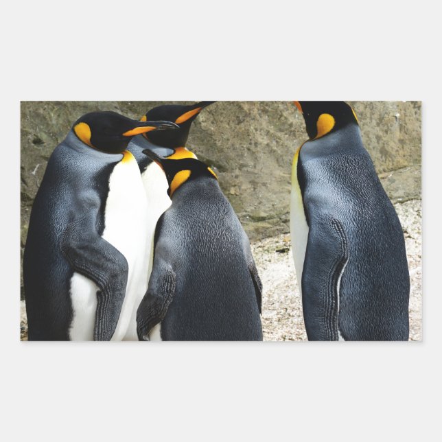 King Penguin Sticker (Front)