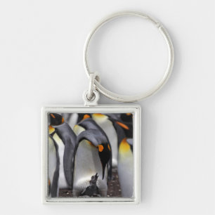 King Penguin with Chick Keychain