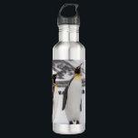 King Penguins 710 Ml Water Bottle<br><div class="desc">Drink more water. Your skin,  hair,  body,  and mind will thank you. And now,  drink out of a fully customizable water bottle and your sense of style will thank you as well. Dang,  hydration never looked so good!</div>