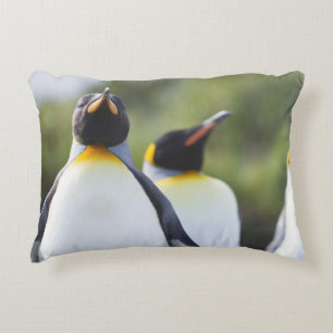 King penguins accent pillow