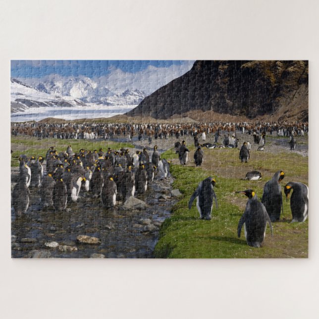 King Penguins and Mountains on South Georgia Jigsaw Puzzle (Horizontal)