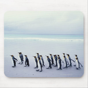 King penguins (Aptenodytes patagonicus) Mouse Pad