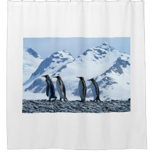 King Penguins at South Georgia