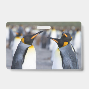 King Penguins Badge