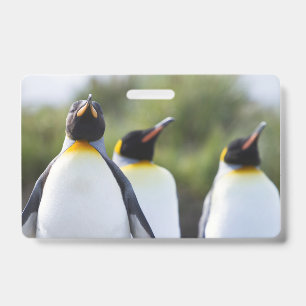 King penguins badge