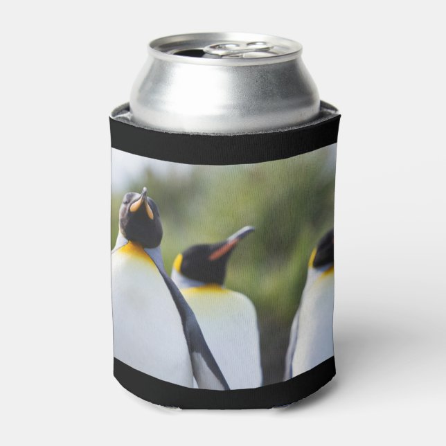 King penguins can cooler (Can Front)