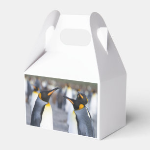 King Penguins Favor Box