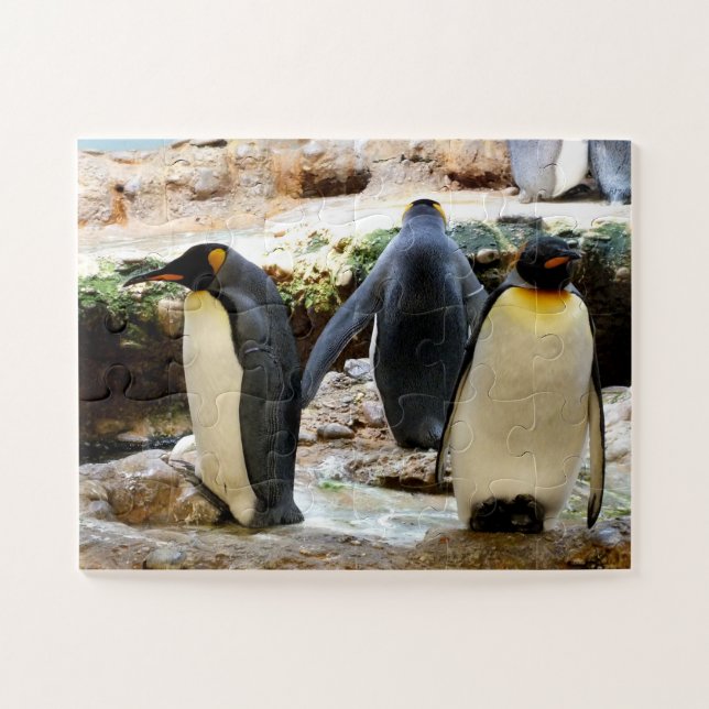 King Penguins Jigsaw Puzzle (Horizontal)